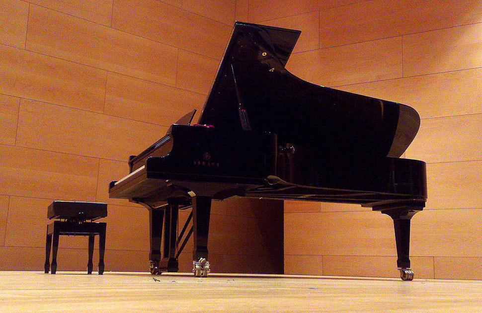 Afinador de pianos a l'Auditori Can Roig i Torres de Santa Coloma de Gramenet (III).